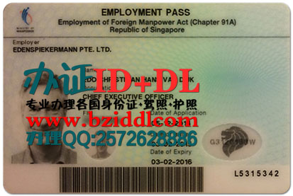 办新加坡就业准证,Singapore Employment Pass,新加坡就业准证样本