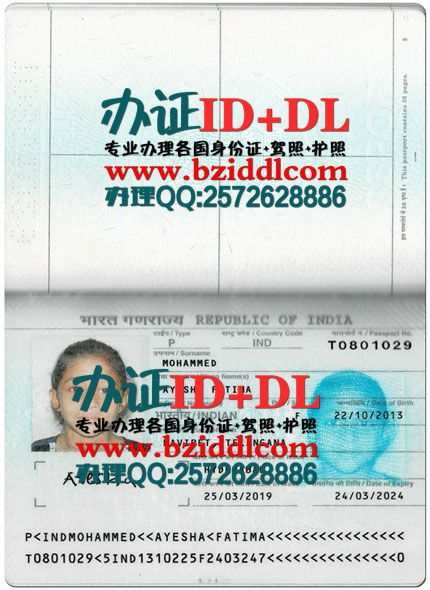 办印度护照,Indian passport,भारतीय पासपोर्ट,印度旧版护照样本