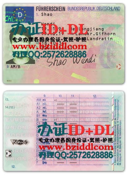德国驾照,Deutscher Führerschein,German driver's license