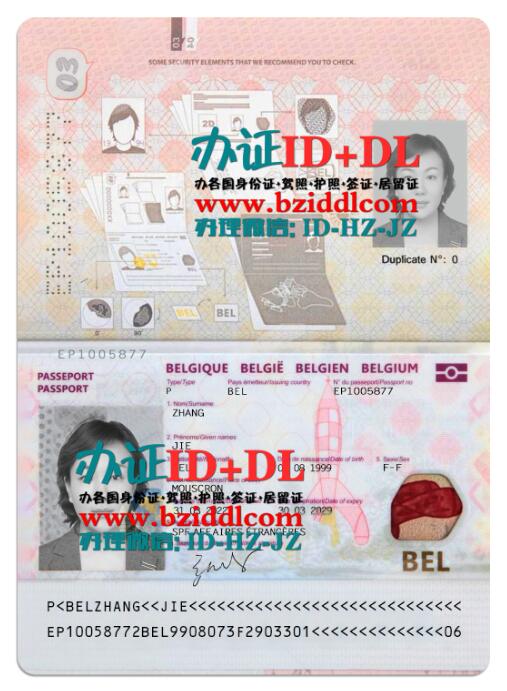 比利时最新护照PSD模板2022年版本Belgium Latest Passport PSD Template 2022 Version