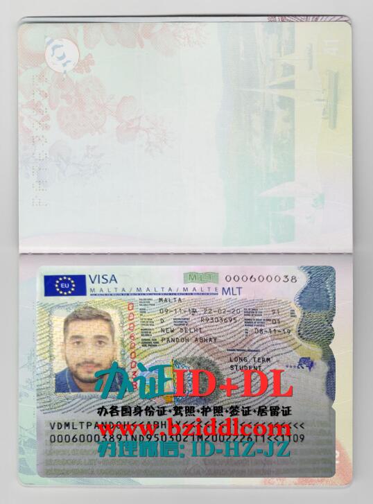 办马耳他签证,Malta visa