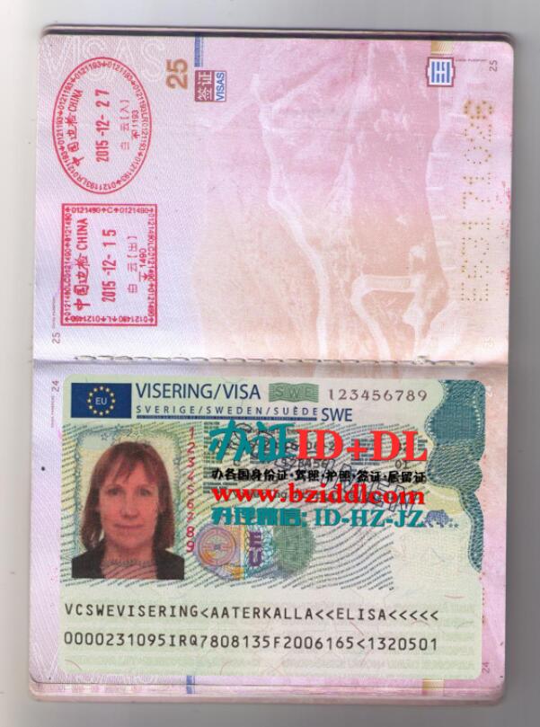 办瑞典签证,Swedish visa