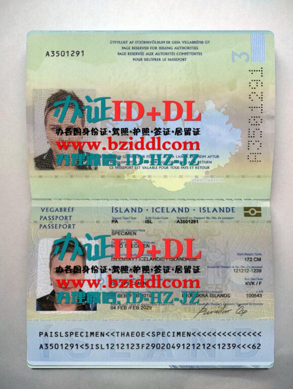 办冰岛2019年护照样本,Iceland's 2019 passport sample