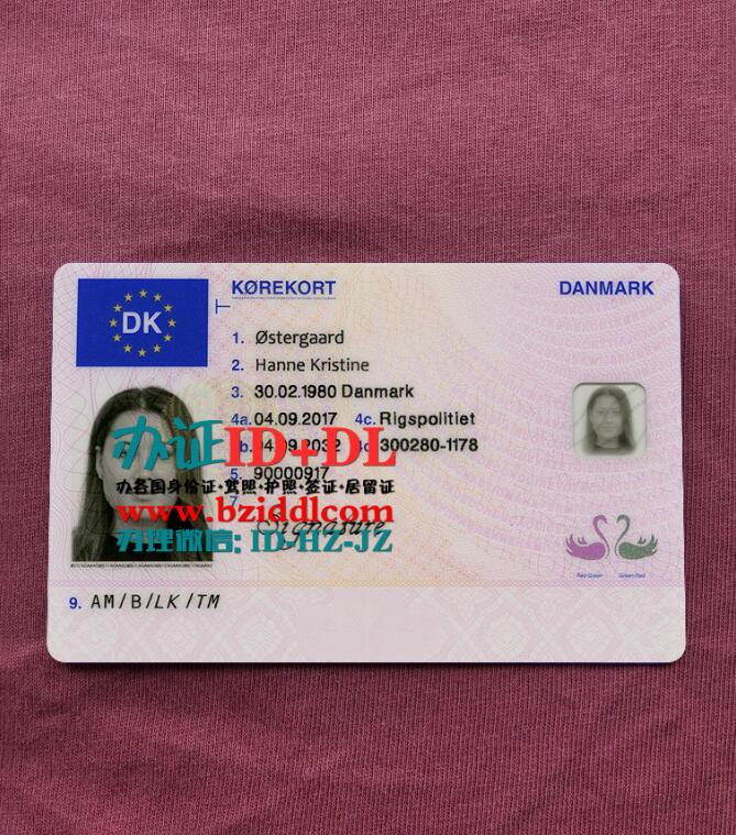 办丹麦驾照2017年版本Danish driver's license 2017 version