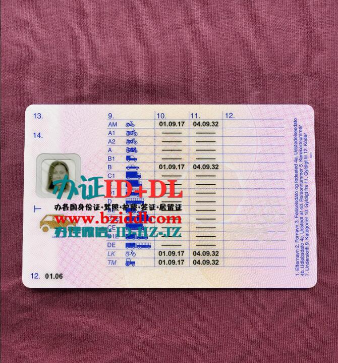 办丹麦最新驾照2017年版本Denmark's latest driver's license 2017 version