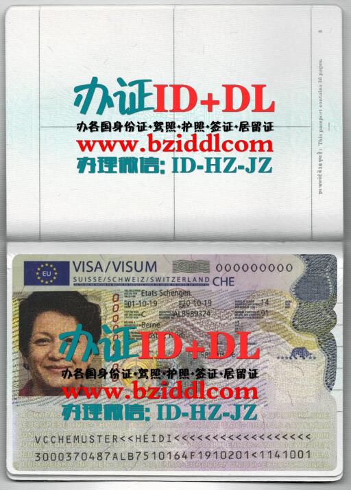 办瑞士申根签证,Swiss Schengen visa