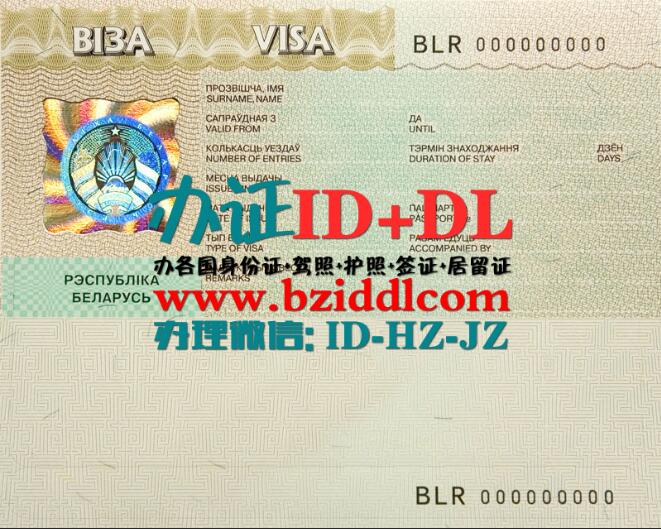 白俄罗斯签证PSD模板Belarus Visa PSD template