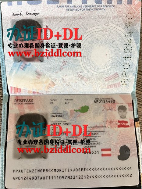 办奥地利新版护照,办奥地利护照需要多久,办奥地利护照要哪些资料