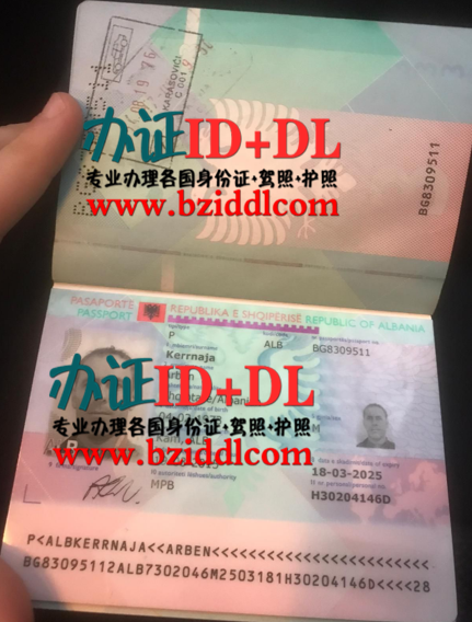 哪里可以办理阿尔巴尼亚真实护照,办阿尔巴尼亚替头护照,如何办理阿尔巴尼亚护照