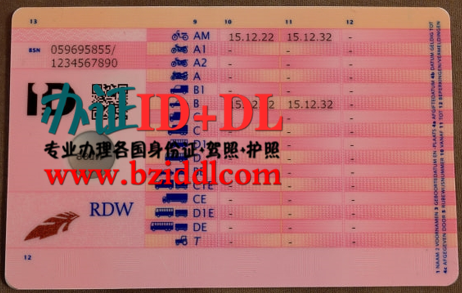 办荷兰真实驾驶证,怎么办理荷兰高仿驾照,哪里可以办荷兰带芯片驾照