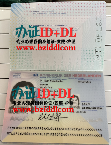 办荷兰新版护照,办荷兰护照要哪些资料,怎么办理荷兰真实护照