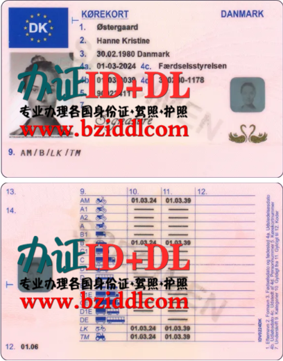 办丹麦驾照需要哪些资料,如何办理丹麦驾照,办丹麦新版驾照