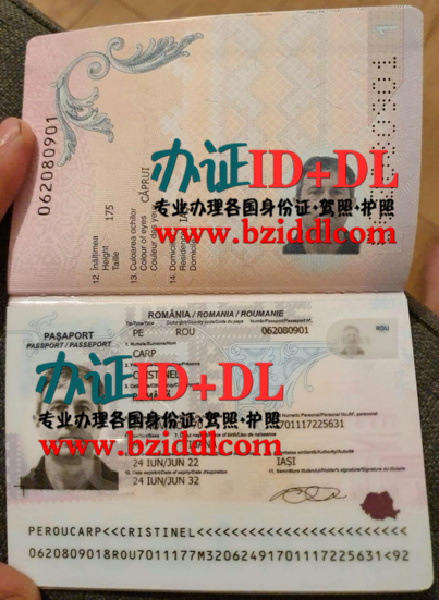 办罗马尼亚高仿护照,办罗马尼亚护照需要什么资料,办罗马尼亚新版护照