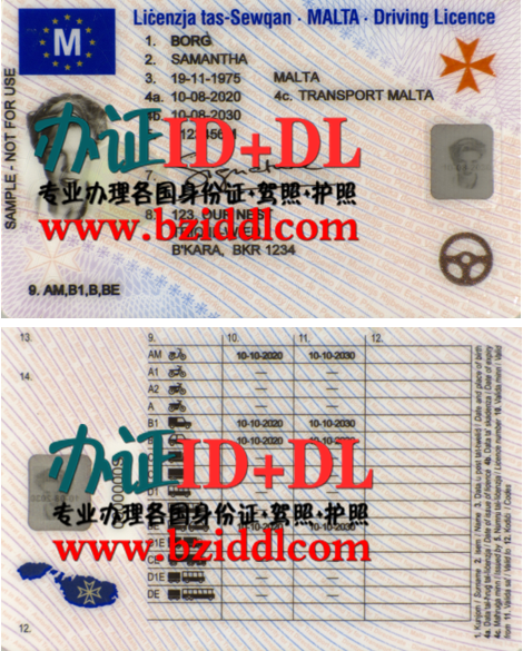 哪里能办马耳他驾照,办马耳他新版驾照,办马耳他真实驾照
