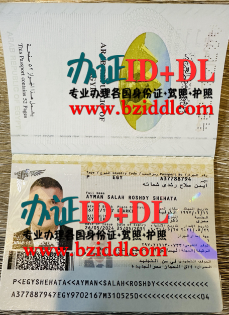 办埃及高仿护照,办埃及新版护照,办埃及护照